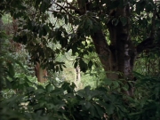 Filename=extant_StarTrek_VOY_7x09_7x10-FleshAndBlood_0004.jpg
Filesize=261KiB
Dimensions=1200x900
Date added=Jan 13, 2020 extant_StarTrek_VOY_7x09_7x10-FleshAndBlood_0004.jpg