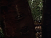 Filename=extant_StarTrek_VOY_7x09_7x10-FleshAndBlood_0026.jpg
Filesize=125KiB
Dimensions=1200x900
Date added=Jan 13, 2020 extant_StarTrek_VOY_7x09_7x10-FleshAndBlood_0026.jpg
