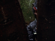 Filename=extant_StarTrek_VOY_7x09_7x10-FleshAndBlood_0029.jpg
Filesize=118KiB
Dimensions=1200x900
Date added=Jan 13, 2020 extant_StarTrek_VOY_7x09_7x10-FleshAndBlood_0029.jpg