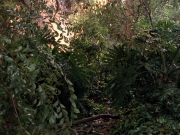 Filename=extant_StarTrek_VOY_7x09_7x10-FleshAndBlood_0100.jpg
Filesize=286KiB
Dimensions=1200x900
Date added=Jan 13, 2020 extant_StarTrek_VOY_7x09_7x10-FleshAndBlood_0100.jpg