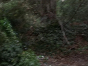 Filename=extant_StarTrek_VOY_7x09_7x10-FleshAndBlood_0120.jpg
Filesize=183KiB
Dimensions=1200x900
Date added=Jan 13, 2020 extant_StarTrek_VOY_7x09_7x10-FleshAndBlood_0120.jpg