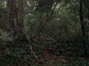 Filename=extant_StarTrek_VOY_7x09_7x10-FleshAndBlood_0121.jpg
Filesize=234KiB
Dimensions=1200x900
Date added=Jan 13, 2020 extant_StarTrek_VOY_7x09_7x10-FleshAndBlood_0121.jpg