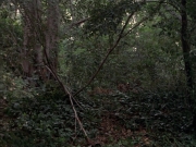 Filename=extant_StarTrek_VOY_7x09_7x10-FleshAndBlood_0122.jpg
Filesize=242KiB
Dimensions=1200x900
Date added=Jan 13, 2020 extant_StarTrek_VOY_7x09_7x10-FleshAndBlood_0122.jpg