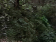 Filename=extant_StarTrek_VOY_7x09_7x10-FleshAndBlood_0123.jpg
Filesize=174KiB
Dimensions=1200x900
Date added=Jan 13, 2020 extant_StarTrek_VOY_7x09_7x10-FleshAndBlood_0123.jpg
