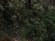 Filename=extant_StarTrek_VOY_7x09_7x10-FleshAndBlood_0124.jpg
Filesize=244KiB
Dimensions=1200x900
Date added=Jan 13, 2020 extant_StarTrek_VOY_7x09_7x10-FleshAndBlood_0124.jpg