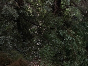 Filename=extant_StarTrek_VOY_7x09_7x10-FleshAndBlood_0125.jpg
Filesize=231KiB
Dimensions=1200x900
Date added=Jan 13, 2020 extant_StarTrek_VOY_7x09_7x10-FleshAndBlood_0125.jpg