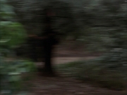 Filename=extant_StarTrek_VOY_7x09_7x10-FleshAndBlood_0126.jpg
Filesize=126KiB
Dimensions=1200x900
Date added=Jan 13, 2020 extant_StarTrek_VOY_7x09_7x10-FleshAndBlood_0126.jpg
