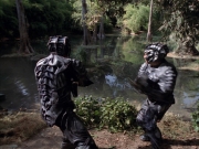 Filename=extant_StarTrek_VOY_7x09_7x10-FleshAndBlood_0161.jpg
Filesize=242KiB
Dimensions=1200x900
Date added=Jan 13, 2020 extant_StarTrek_VOY_7x09_7x10-FleshAndBlood_0161.jpg