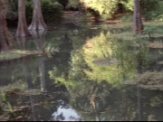 Filename=extant_StarTrek_VOY_7x09_7x10-FleshAndBlood_0171.jpg
Filesize=196KiB
Dimensions=1200x900
Date added=Jan 13, 2020 extant_StarTrek_VOY_7x09_7x10-FleshAndBlood_0171.jpg