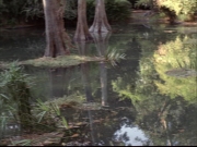 Filename=extant_StarTrek_VOY_7x09_7x10-FleshAndBlood_0172.jpg
Filesize=196KiB
Dimensions=1200x900
Date added=Jan 13, 2020 extant_StarTrek_VOY_7x09_7x10-FleshAndBlood_0172.jpg