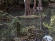Filename=extant_StarTrek_VOY_7x09_7x10-FleshAndBlood_0173.jpg
Filesize=200KiB
Dimensions=1200x900
Date added=Jan 13, 2020 extant_StarTrek_VOY_7x09_7x10-FleshAndBlood_0173.jpg