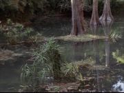 Filename=extant_StarTrek_VOY_7x09_7x10-FleshAndBlood_0174.jpg
Filesize=208KiB
Dimensions=1200x900
Date added=Jan 13, 2020 extant_StarTrek_VOY_7x09_7x10-FleshAndBlood_0174.jpg