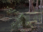 Filename=extant_StarTrek_VOY_7x09_7x10-FleshAndBlood_0175.jpg
Filesize=206KiB
Dimensions=1200x900
Date added=Jan 13, 2020 extant_StarTrek_VOY_7x09_7x10-FleshAndBlood_0175.jpg