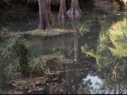 Filename=extant_StarTrek_VOY_7x09_7x10-FleshAndBlood_0188.jpg
Filesize=227KiB
Dimensions=1200x900
Date added=Jan 13, 2020 extant_StarTrek_VOY_7x09_7x10-FleshAndBlood_0188.jpg