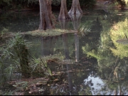 Filename=extant_StarTrek_VOY_7x09_7x10-FleshAndBlood_0189.jpg
Filesize=241KiB
Dimensions=1200x900
Date added=Jan 13, 2020 extant_StarTrek_VOY_7x09_7x10-FleshAndBlood_0189.jpg