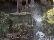Filename=extant_StarTrek_VOY_7x09_7x10-FleshAndBlood_0191.jpg
Filesize=254KiB
Dimensions=1200x900
Date added=Jan 13, 2020 extant_StarTrek_VOY_7x09_7x10-FleshAndBlood_0191.jpg