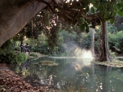 Filename=extant_StarTrek_VOY_7x09_7x10-FleshAndBlood_0195.jpg
Filesize=261KiB
Dimensions=1200x900
Date added=Jan 13, 2020 extant_StarTrek_VOY_7x09_7x10-FleshAndBlood_0195.jpg