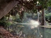 Filename=extant_StarTrek_VOY_7x09_7x10-FleshAndBlood_0197.jpg
Filesize=259KiB
Dimensions=1200x900
Date added=Jan 13, 2020 extant_StarTrek_VOY_7x09_7x10-FleshAndBlood_0197.jpg