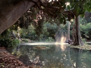 Filename=extant_StarTrek_VOY_7x09_7x10-FleshAndBlood_0207.jpg
Filesize=272KiB
Dimensions=1200x900
Date added=Jan 13, 2020 extant_StarTrek_VOY_7x09_7x10-FleshAndBlood_0207.jpg