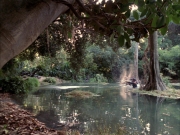 Filename=extant_StarTrek_VOY_7x09_7x10-FleshAndBlood_0208.jpg
Filesize=264KiB
Dimensions=1200x900
Date added=Jan 13, 2020 extant_StarTrek_VOY_7x09_7x10-FleshAndBlood_0208.jpg