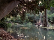 Filename=extant_StarTrek_VOY_7x09_7x10-FleshAndBlood_0209.jpg
Filesize=262KiB
Dimensions=1200x900
Date added=Jan 13, 2020 extant_StarTrek_VOY_7x09_7x10-FleshAndBlood_0209.jpg