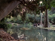 Filename=extant_StarTrek_VOY_7x09_7x10-FleshAndBlood_0211.jpg
Filesize=263KiB
Dimensions=1200x900
Date added=Jan 13, 2020 extant_StarTrek_VOY_7x09_7x10-FleshAndBlood_0211.jpg
