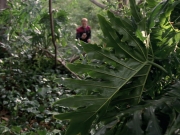 extant_StarTrek_VOY_7x09_7x10-FleshAndBlood_0627.jpg