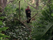 extant_StarTrek_VOY_7x09_7x10-FleshAndBlood_0631.jpg