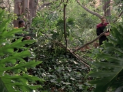 extant_StarTrek_VOY_7x09_7x10-FleshAndBlood_0634.jpg
