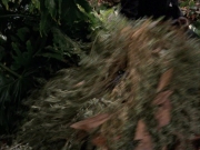 extant_StarTrek_VOY_7x09_7x10-FleshAndBlood_0645.jpg