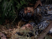 extant_StarTrek_VOY_7x09_7x10-FleshAndBlood_0649.jpg