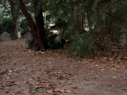 Filename=extant_StarTrek_VOY_7x09_7x10-FleshAndBlood_0660.jpg
Filesize=270KiB
Dimensions=1200x900
Date added=Jan 13, 2020 extant_StarTrek_VOY_7x09_7x10-FleshAndBlood_0660.jpg