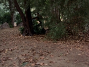 Filename=extant_StarTrek_VOY_7x09_7x10-FleshAndBlood_0661.jpg
Filesize=277KiB
Dimensions=1200x900
Date added=Jan 13, 2020 extant_StarTrek_VOY_7x09_7x10-FleshAndBlood_0661.jpg