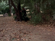 Filename=extant_StarTrek_VOY_7x09_7x10-FleshAndBlood_0662.jpg
Filesize=271KiB
Dimensions=1200x900
Date added=Jan 13, 2020 extant_StarTrek_VOY_7x09_7x10-FleshAndBlood_0662.jpg