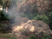 Filename=extant_StarTrek_VOY_7x09_7x10-FleshAndBlood_0735.jpg
Filesize=279KiB
Dimensions=1200x900
Date added=Jan 13, 2020 extant_StarTrek_VOY_7x09_7x10-FleshAndBlood_0735.jpg
