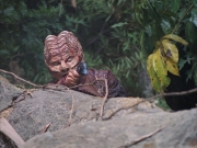 Filename=extant_StarTrek_VOY_7x09_7x10-FleshAndBlood_0758.jpg
Filesize=209KiB
Dimensions=1200x900
Date added=Jan 13, 2020 extant_StarTrek_VOY_7x09_7x10-FleshAndBlood_0758.jpg