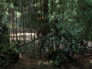 Filename=extant_StarTrek_VOY_7x09_7x10-FleshAndBlood_0766.jpg
Filesize=280KiB
Dimensions=1200x900
Date added=Jan 13, 2020 extant_StarTrek_VOY_7x09_7x10-FleshAndBlood_0766.jpg