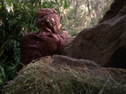 Filename=extant_StarTrek_VOY_7x09_7x10-FleshAndBlood_0773.jpg
Filesize=233KiB
Dimensions=1200x900
Date added=Jan 13, 2020 extant_StarTrek_VOY_7x09_7x10-FleshAndBlood_0773.jpg
