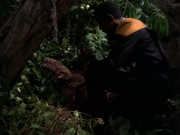 Filename=extant_StarTrek_VOY_7x09_7x10-FleshAndBlood_0787.jpg
Filesize=166KiB
Dimensions=1200x900
Date added=Jan 13, 2020 extant_StarTrek_VOY_7x09_7x10-FleshAndBlood_0787.jpg