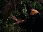 Filename=extant_StarTrek_VOY_7x09_7x10-FleshAndBlood_0788.jpg
Filesize=177KiB
Dimensions=1200x900
Date added=Jan 13, 2020 extant_StarTrek_VOY_7x09_7x10-FleshAndBlood_0788.jpg