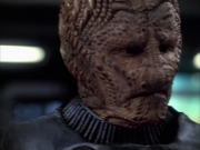 Filename=extant_StarTrek_VOY_7x09_7x10-FleshAndBlood_1301.jpg
Filesize=146KiB
Dimensions=1200x900
Date added=Jan 13, 2020 extant_StarTrek_VOY_7x09_7x10-FleshAndBlood_1301.jpg