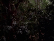 Filename=extant_StarTrek_VOY_7x09_7x10-FleshAndBlood_2636.jpg
Filesize=144KiB
Dimensions=1200x900
Date added=Jan 13, 2020 extant_StarTrek_VOY_7x09_7x10-FleshAndBlood_2636.jpg