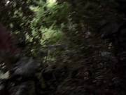 Filename=extant_StarTrek_VOY_7x09_7x10-FleshAndBlood_2638.jpg
Filesize=197KiB
Dimensions=1200x900
Date added=Jan 13, 2020 extant_StarTrek_VOY_7x09_7x10-FleshAndBlood_2638.jpg