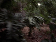 Filename=extant_StarTrek_VOY_7x09_7x10-FleshAndBlood_2639.jpg
Filesize=184KiB
Dimensions=1200x900
Date added=Jan 13, 2020 extant_StarTrek_VOY_7x09_7x10-FleshAndBlood_2639.jpg