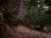 Filename=extant_StarTrek_VOY_7x09_7x10-FleshAndBlood_2640.jpg
Filesize=186KiB
Dimensions=1200x900
Date added=Jan 13, 2020 extant_StarTrek_VOY_7x09_7x10-FleshAndBlood_2640.jpg