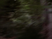 Filename=extant_StarTrek_VOY_7x09_7x10-FleshAndBlood_2641.jpg
Filesize=142KiB
Dimensions=1200x900
Date added=Jan 13, 2020 extant_StarTrek_VOY_7x09_7x10-FleshAndBlood_2641.jpg