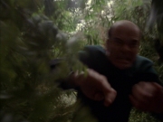 Filename=extant_StarTrek_VOY_7x09_7x10-FleshAndBlood_2643.jpg
Filesize=157KiB
Dimensions=1200x900
Date added=Jan 13, 2020 extant_StarTrek_VOY_7x09_7x10-FleshAndBlood_2643.jpg