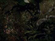 Filename=extant_StarTrek_VOY_7x09_7x10-FleshAndBlood_2645.jpg
Filesize=169KiB
Dimensions=1200x900
Date added=Jan 13, 2020 extant_StarTrek_VOY_7x09_7x10-FleshAndBlood_2645.jpg