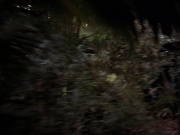 Filename=extant_StarTrek_VOY_7x09_7x10-FleshAndBlood_2650.jpg
Filesize=167KiB
Dimensions=1200x900
Date added=Jan 13, 2020 extant_StarTrek_VOY_7x09_7x10-FleshAndBlood_2650.jpg