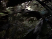 Filename=extant_StarTrek_VOY_7x09_7x10-FleshAndBlood_2651.jpg
Filesize=158KiB
Dimensions=1200x900
Date added=Jan 13, 2020 extant_StarTrek_VOY_7x09_7x10-FleshAndBlood_2651.jpg
